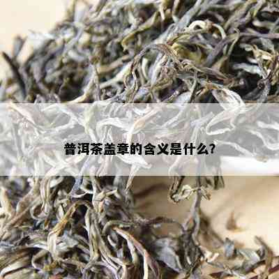 普洱茶盖章的含义是什么？