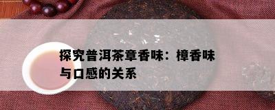 探究普洱茶章香味：樟香味与口感的关系