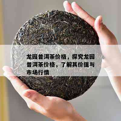 龙园普洱茶价格，探究龙园普洱茶价格，了解其价值与市场行情