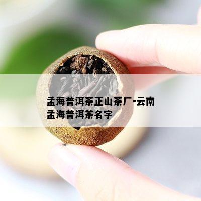 孟海普洱茶正山茶厂-云南孟海普洱茶名字