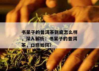 书呆子的普洱茶到底怎么样，深入解析：书呆子的普洱茶，口感怎样？