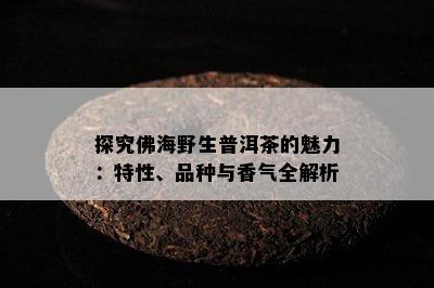 探究佛海野生普洱茶的魅力：特性、品种与香气全解析