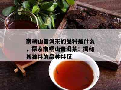 南糯山普洱茶的品种是什么，探索南糯山普洱茶：揭秘其独特的品种特征