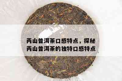 丙山普洱茶口感特点，探秘丙山普洱茶的特别口感特点