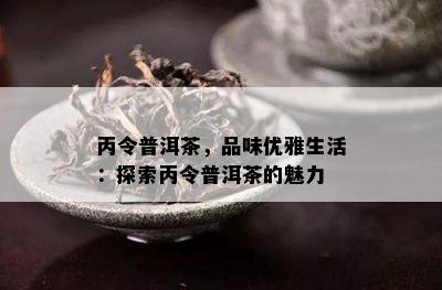 丙令普洱茶，品味优雅生活：探索丙令普洱茶的魅力