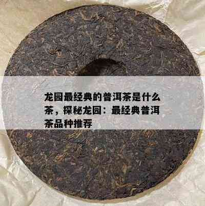 龙园最经典的普洱茶是什么茶，探秘龙园：最经典普洱茶品种推荐