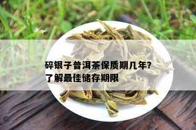 碎银子普洱茶保质期几年？了解更佳储存期限