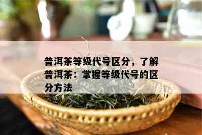 普洱茶等级代号区分，了解普洱茶：掌握等级代号的区分方法