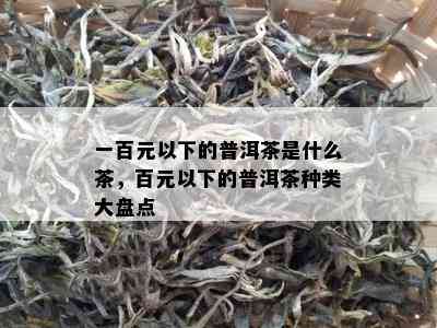 一百元以下的普洱茶是什么茶，百元以下的普洱茶种类大盘点