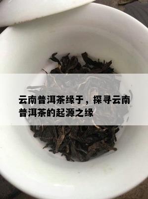 云南普洱茶缘于，探寻云南普洱茶的起源之缘