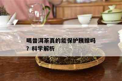 喝普洱茶真的能保护胰腺吗？科学解析