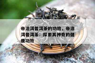 帝泊洱普洱茶的功效，帝泊洱普洱茶：探索其神奇的健康功效