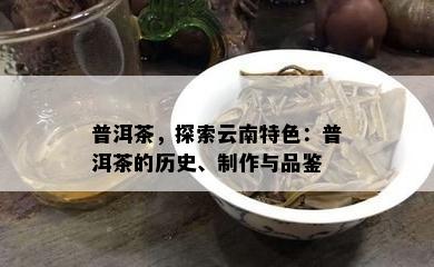 普洱茶，探索云南特色：普洱茶的历史、制作与品鉴