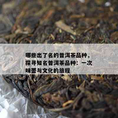 哪些出了名的普洱茶品种，探寻知名普洱茶品种：一次味蕾与文化的旅程