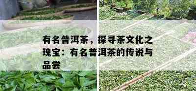 有名普洱茶，探寻茶文化之瑰宝：有名普洱茶的传说与品尝