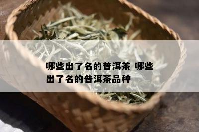 哪些出了名的普洱茶-哪些出了名的普洱茶品种