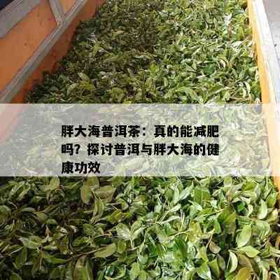 胖大海普洱茶：真的能减肥吗？探讨普洱与胖大海的健康功效