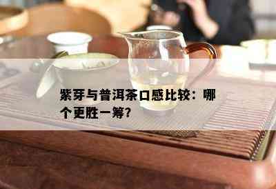 紫芽与普洱茶口感比较：哪个更胜一筹？