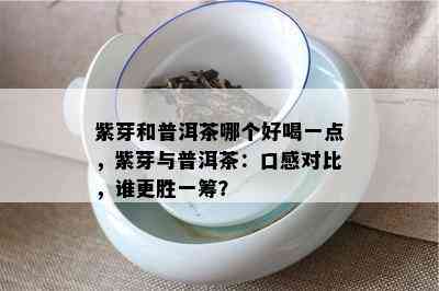 紫芽和普洱茶哪个好喝一点，紫芽与普洱茶：口感对比，谁更胜一筹？