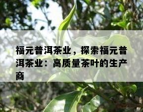 福元普洱茶业，探索福元普洱茶业：高品质茶叶的生产商