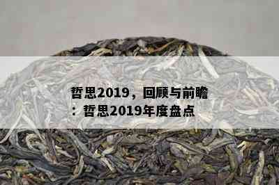 哲思2019，回顾与前瞻：哲思2019年度盘点