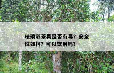 珐琅彩茶具是不是有？安全性怎样？可以饮用吗？