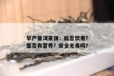 早产普洱茶饼：能否饮用？是不是有营养？安全无吗？