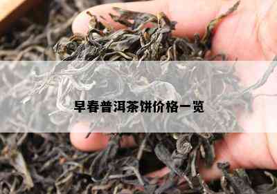 早春普洱茶饼价格一览