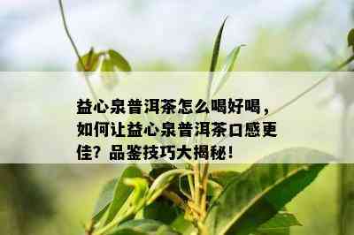 益心泉普洱茶怎么喝好喝，怎样让益心泉普洱茶口感更佳？品鉴技巧大揭秘！