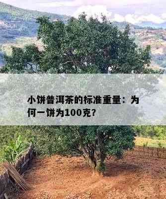 小饼普洱茶的标准重量：为何一饼为100克？