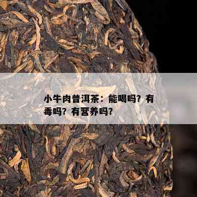 小牛肉普洱茶：能喝吗？有吗？有营养吗？