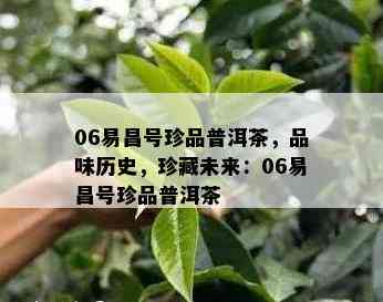 06易昌号珍品普洱茶，品味历史，珍藏未来：06易昌号珍品普洱茶