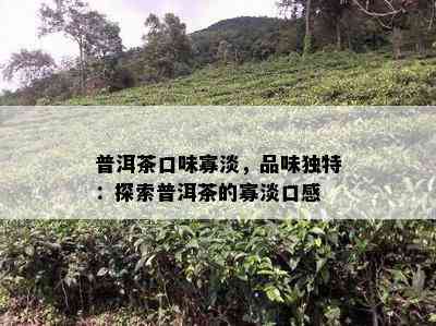 普洱茶口味寡淡，品味独特：探索普洱茶的寡淡口感