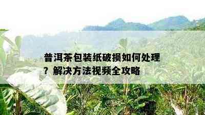 普洱茶包装纸破损怎样解决？解决方法视频全攻略