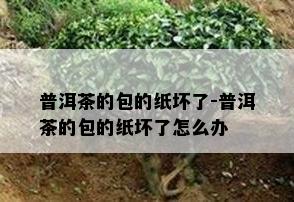 普洱茶的包的纸坏了-普洱茶的包的纸坏了怎么办