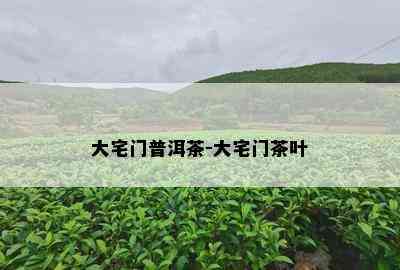 大宅门普洱茶-大宅门茶叶