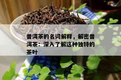 普洱茶的名词解释，解密普洱茶：深入了解这种独特的茶叶