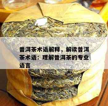 普洱茶术语解释，解读普洱茶术语：理解普洱茶的专业语言