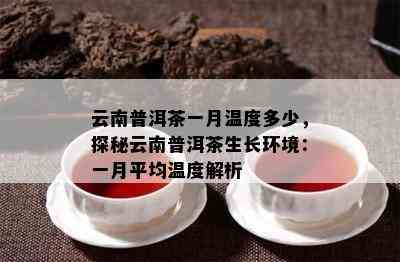 云南普洱茶一月温度多少，探秘云南普洱茶生长环境：一月平均温度解析