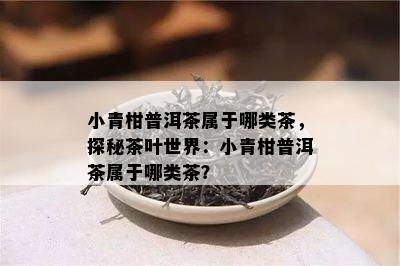 小青柑普洱茶属于哪类茶，探秘茶叶世界：小青柑普洱茶属于哪类茶？