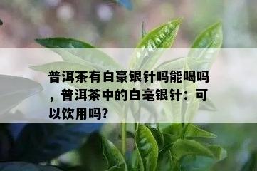 普洱茶有白豪银针吗能喝吗，普洱茶中的白毫银针：可以饮用吗？