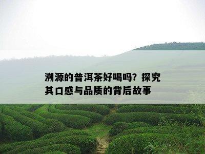 溯源的普洱茶好喝吗？探究其口感与品质的背后故事