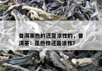 普洱茶热的还是凉性的，普洱茶：是热性还是凉性？