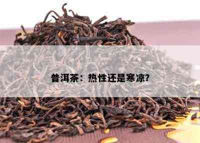 普洱茶：热性还是寒凉？