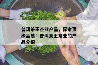 普洱茶王茶业产品，探索顶级品质：普洱茶王茶业的产品介绍