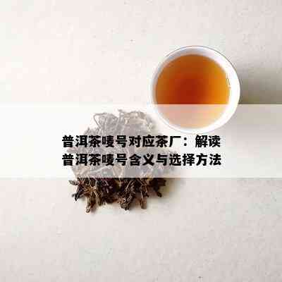 普洱茶唛号对应茶厂：解读普洱茶唛号含义与选择方法