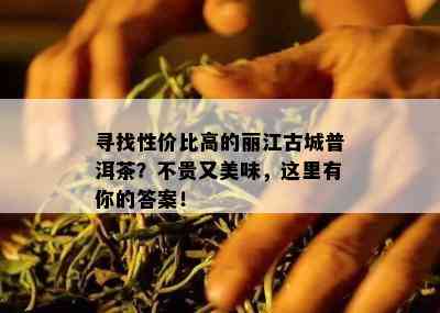 寻找性价比高的丽江古城普洱茶？不贵又美味，这里有你的答案！