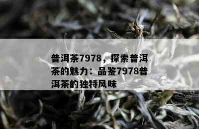 普洱茶7978，探索普洱茶的魅力：品鉴7978普洱茶的独特风味