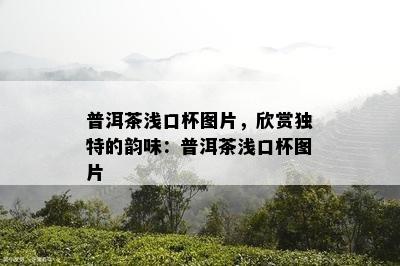 普洱茶浅口杯图片，欣赏独特的韵味：普洱茶浅口杯图片