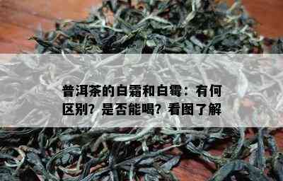 普洱茶的白霜和白霉：有何区别？是否能喝？看图了解